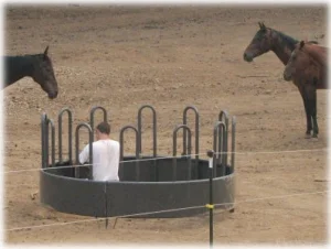 horse rescue