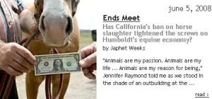 horse rescue
