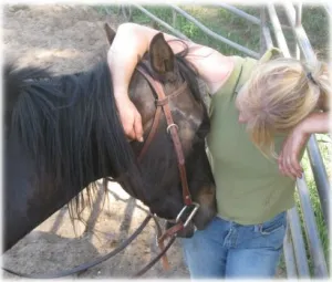 horse rescue