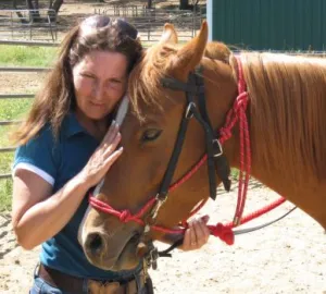horse rescue