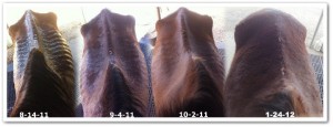 1-24-12-13