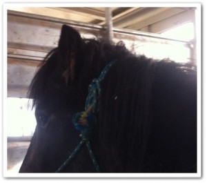 1-30-12-12