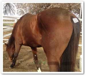 2-19-12-19