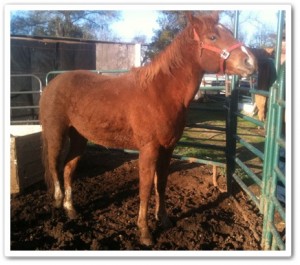 2-5-12-12