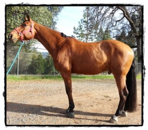 1-29-12-15