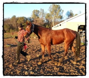 1-31-12-11