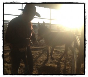 2-27-13-12