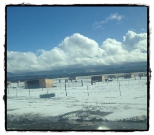 2-7-13-12