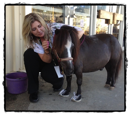 horse shelter