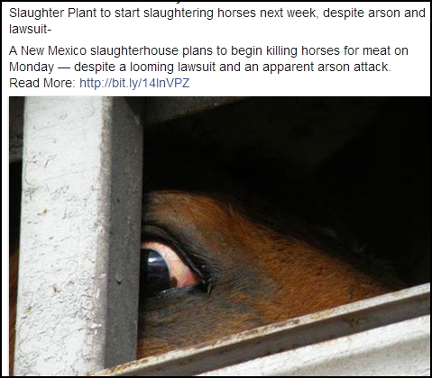 7-31-13-0-0 horse shelter