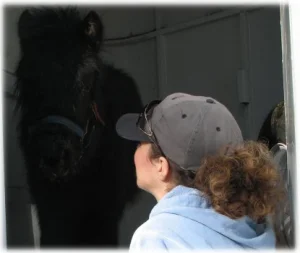 horse rescue