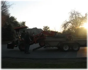 horse rescue