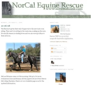 horse rescue