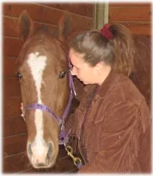 horse rescue