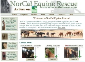 horse rescue