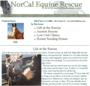 horse rescue
