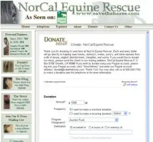 horse rescue