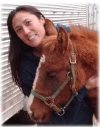 horse rescue