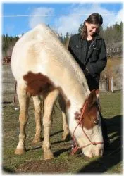 horse rescue