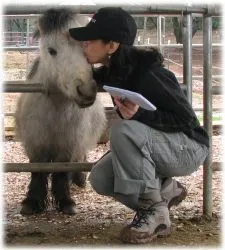 horse rescue
