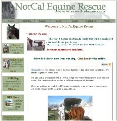 horse rescue