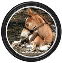 horse rescue