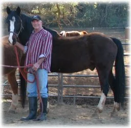 horse rescue