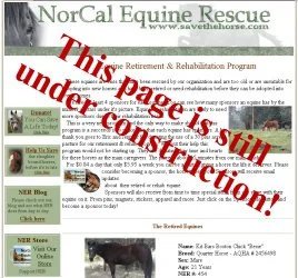 horse rescue