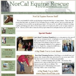 horse rescue