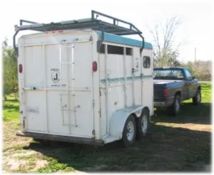 horse rescue