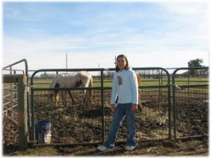 horse rescue