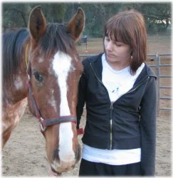 horse rescue