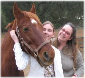 horse rescue
