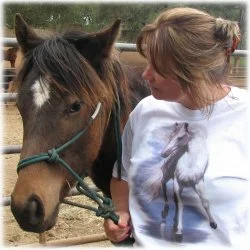 horse rescue