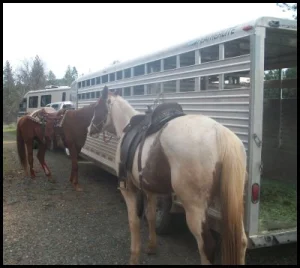 horse shelter