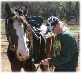 horse rescue
