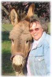 horse rescue