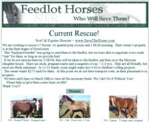 horse rescue