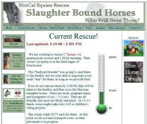 horse rescue