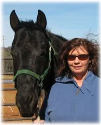 horse rescue