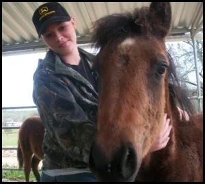 horse shelter