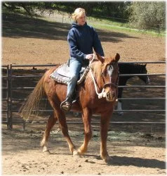 horse rescue