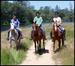 horse shelter