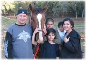 horse rescue