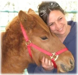 horse rescue
