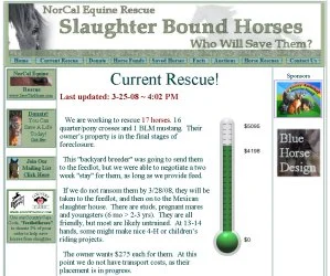 horse rescue