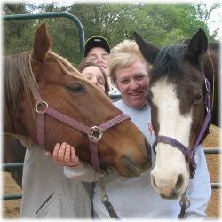 horse rescue