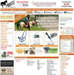 horse rescue