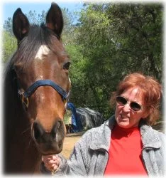 horse rescue