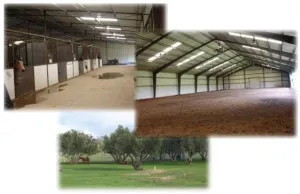 horse shelter